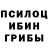 Галлюциногенные грибы GOLDEN TEACHER VNika