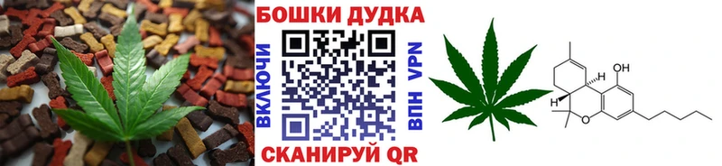 Canna-Cookies марихуана  Кодинск 