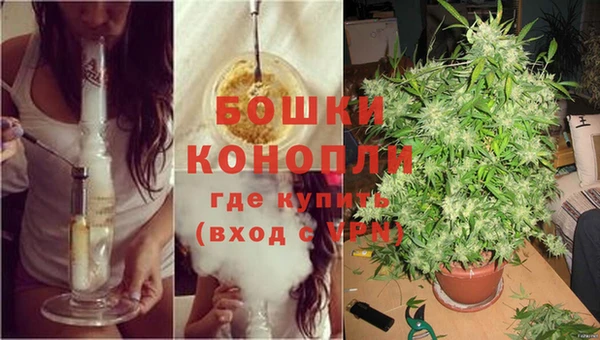 кокс Белокуриха