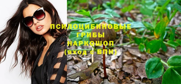 кокс Белокуриха