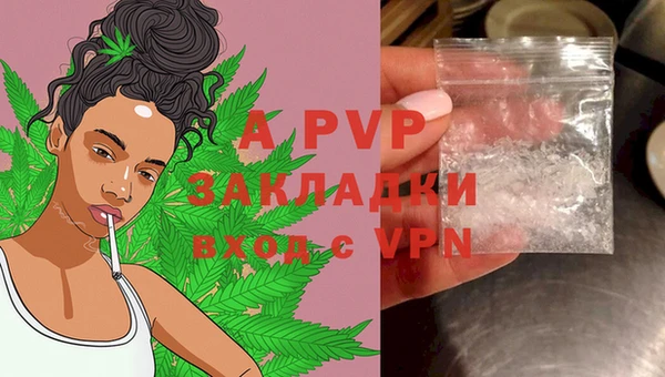 шишки Беломорск