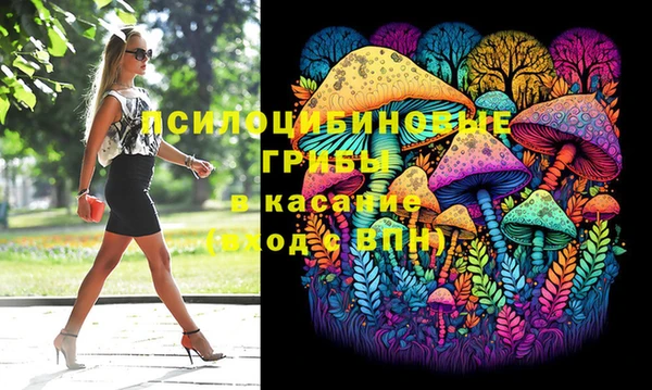 шишки Беломорск