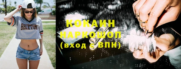 шишки Беломорск