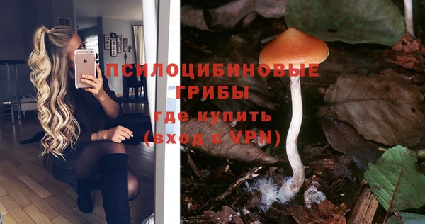 первитин Белоозёрский
