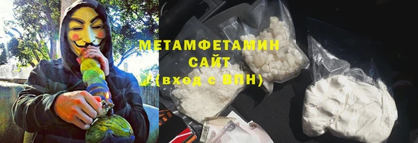 шишки Беломорск