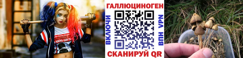 Псилоцибиновые грибы GOLDEN TEACHER Кодинск