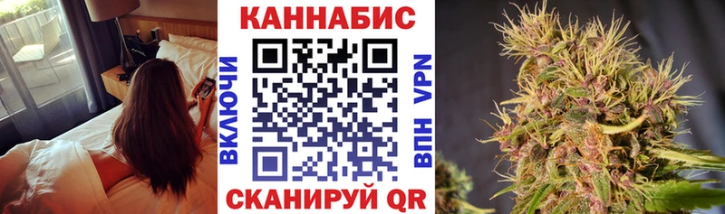 Бошки марихуана план KRAKEN маркетплейс Кодинск наркотики